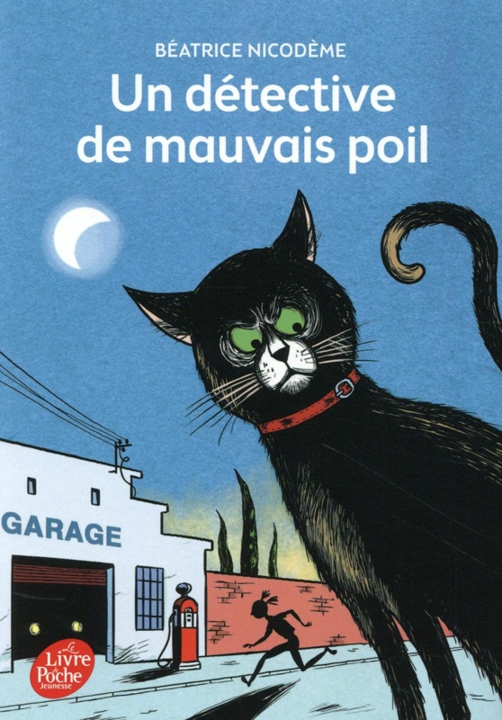 Un détective de mauvais poil
