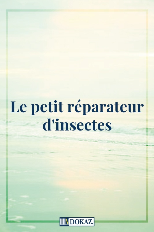 Le petit réparateur d'insectes
