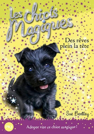 Les chiots magiques t.11